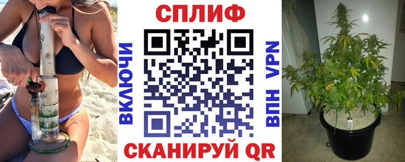 Каннабис Amnesia Орёл